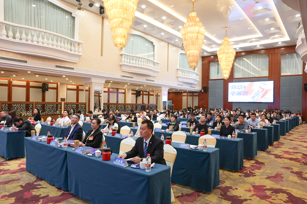 我司受邀参加天河南街问鼎在线联谊会暨新质生产力发展论坛